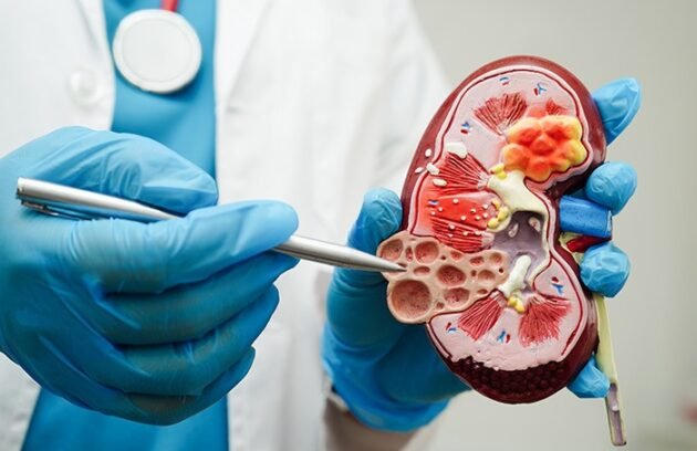 WhatsApp-Image-2025-05-20-at-16.18.44_dc560a52-630x408