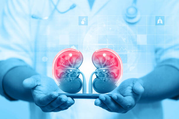 Kidney Care in Panchkula