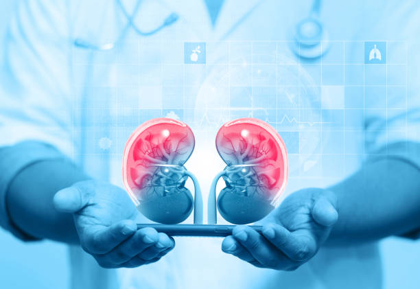 Kidney Care in Panchkula