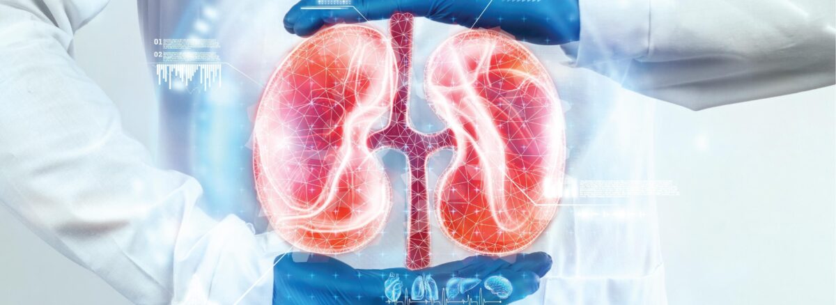 Kidney Care in Panchkula