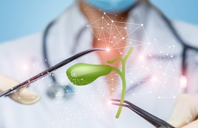 WhatsApp-Image-2025-05-28-at-16.20.35_36ce31ca-630x408